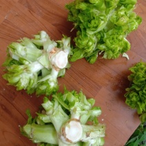 早熟儿菜大量上市了