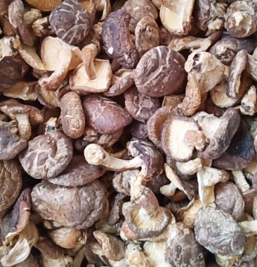 广西金秀大瑶山土特产香菇薄菇500克