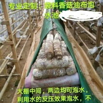 菌棒泡袋，泡布