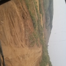 山地出租