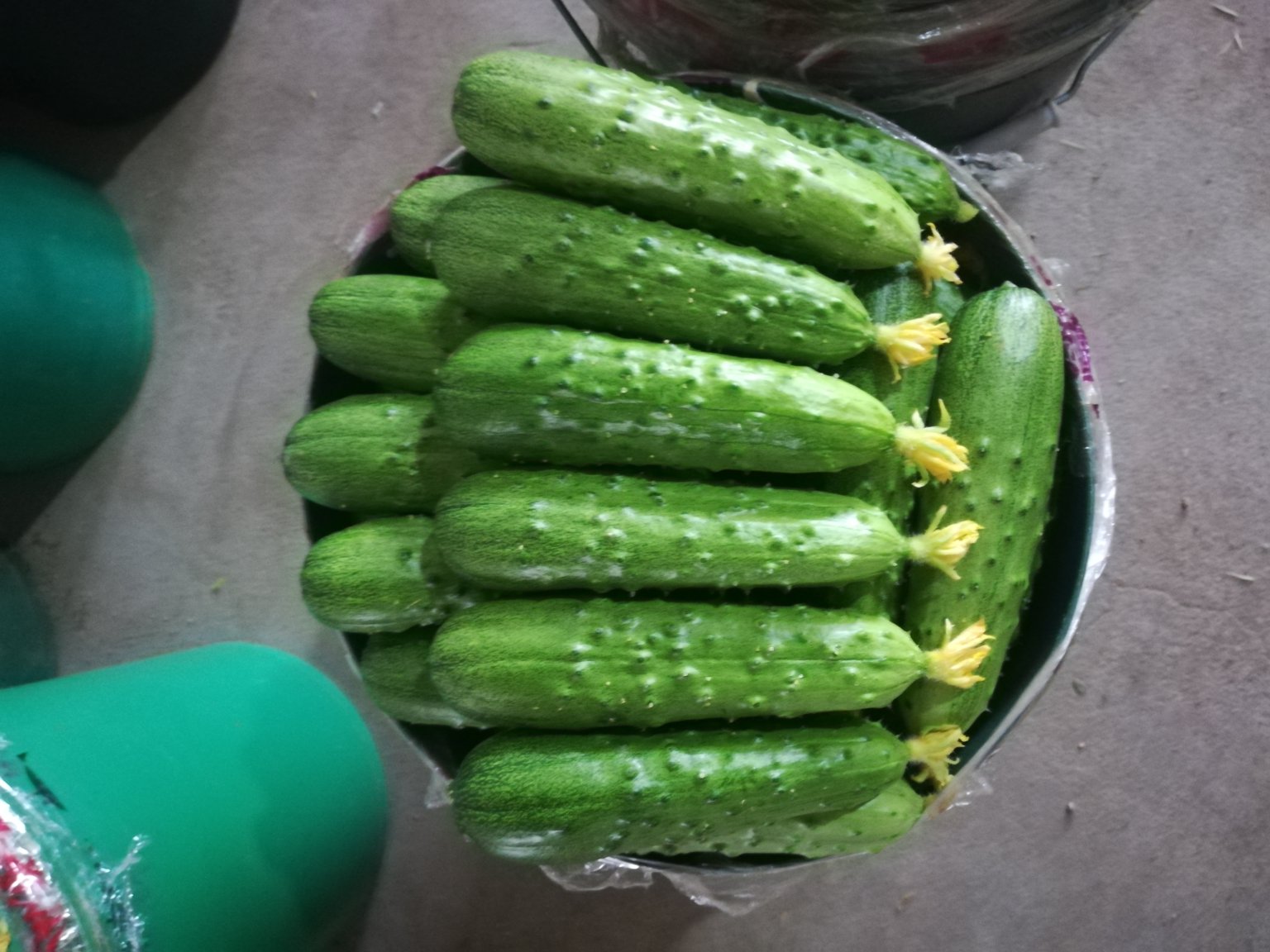 一筐刚从地里采摘的旱黄瓜放置在乡村院落的竹编篮子里,黄瓜表面带有细小硬刺,颜色深绿,部分还沾有泥土,背景可见农妇正在整理收获的蔬菜,体现原生态种植场景 新鲜采摘的旱黄瓜整齐摆放在竹篮中