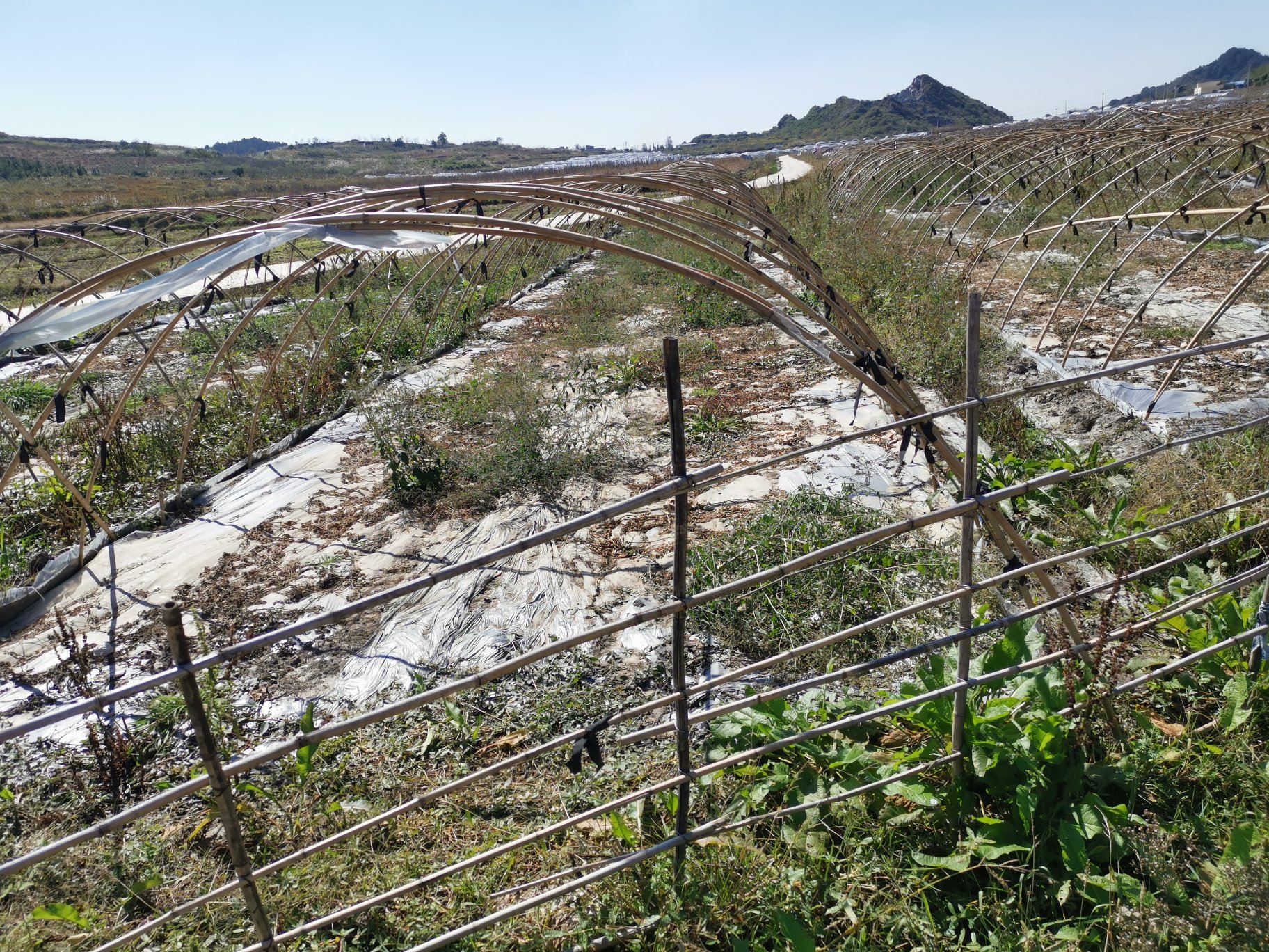 遮阳网搭建示意图