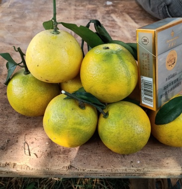 白江橙!白心橙价格1.00元/斤 - 一亩田