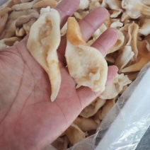 辽宁东港新鲜加工鸟贝肉质量好