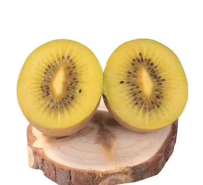 黄心猕猴桃与绿心猕猴桃对比摆放