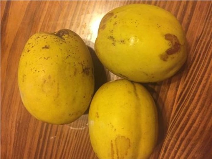 一个成熟的木瓜,外皮呈金黄色略带绿色,表面光滑,果形椭圆,切开后露出橙红色的果肉和黑色种子,背景为木质餐桌,旁边配有绿叶装饰 木瓜果实特写