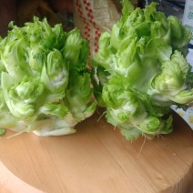 儿菜