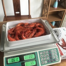 黑虎虾