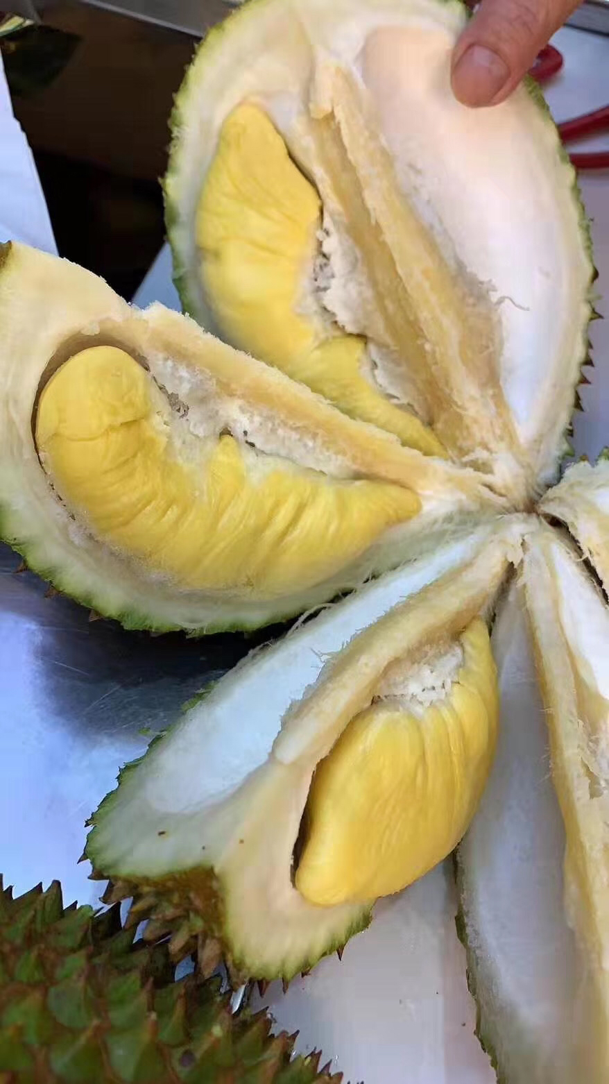 马来西亚猫山王d197榴莲,4-5个20斤/箱