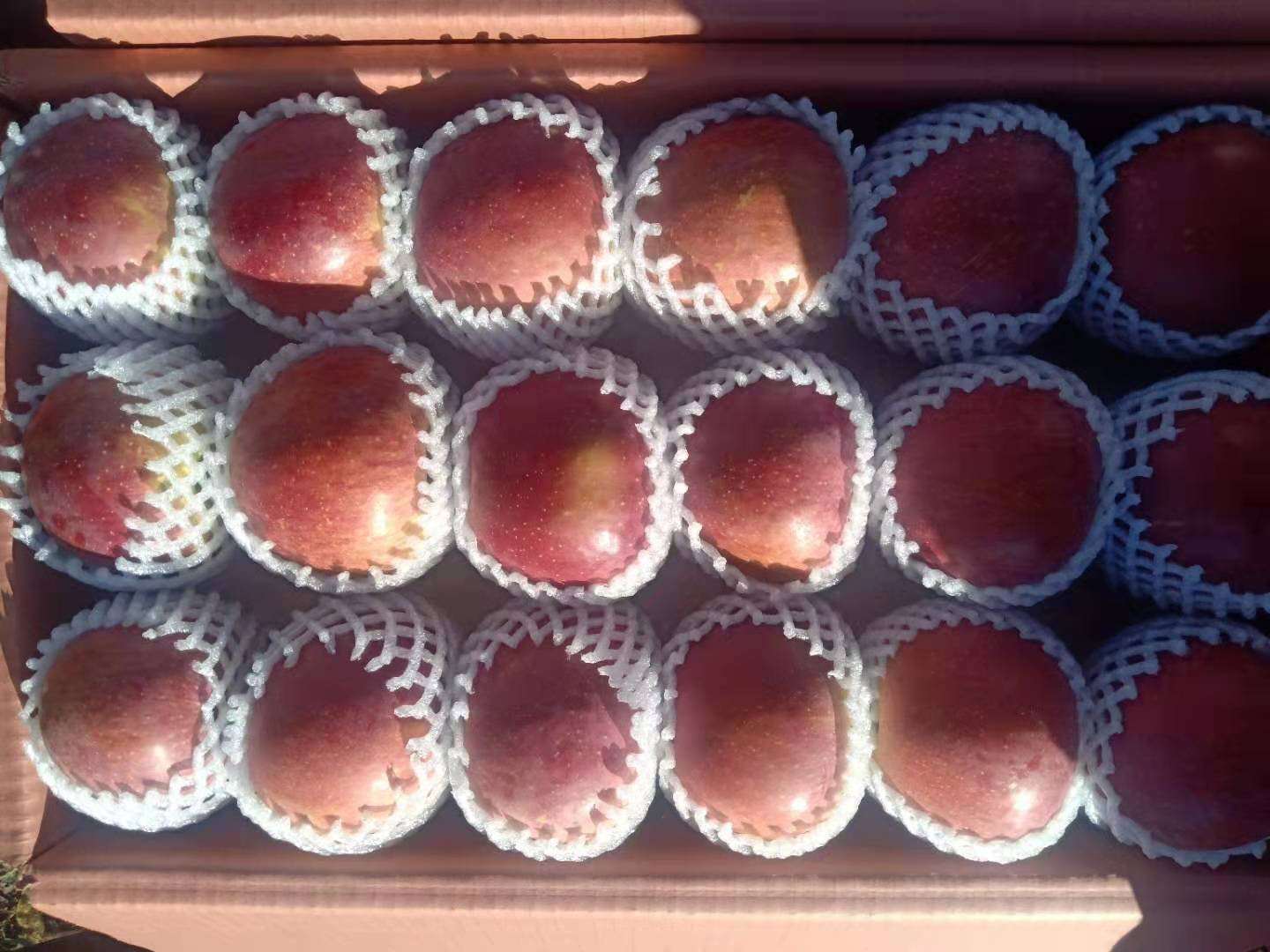 一个打开的高档红色纸盒,内衬为白色海绵托盘,整齐摆放着6个表皮光亮无瑕的红将军苹果,每个苹果都贴有品牌标签,旁边放置一张手写风格的卡片写着‘精选红将军·献给重要的人’,背景虚化为客厅茶几 包装精美的红将军苹果礼盒特写