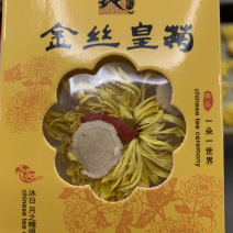金丝皇菊