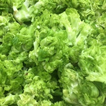 大心子儿菜，抱儿菜，母子菜，连儿母，小心子