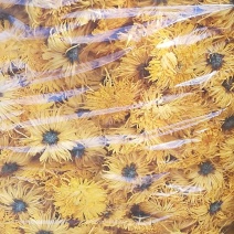 荼