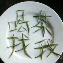 绿茶-毛尖一缕香，一口爽——饮之有道都市生活茶。