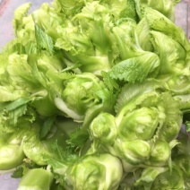 简阳儿菜