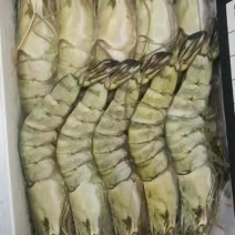 野生越南黑虎虾支持验货产地直销常年供货