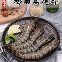 黑虎虾越南纯正野生《一手货源》支持验货常年供货
