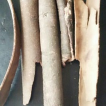 川桂皮