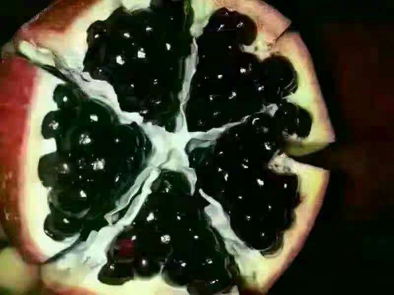 石榴果实被虫蛀后的斑点