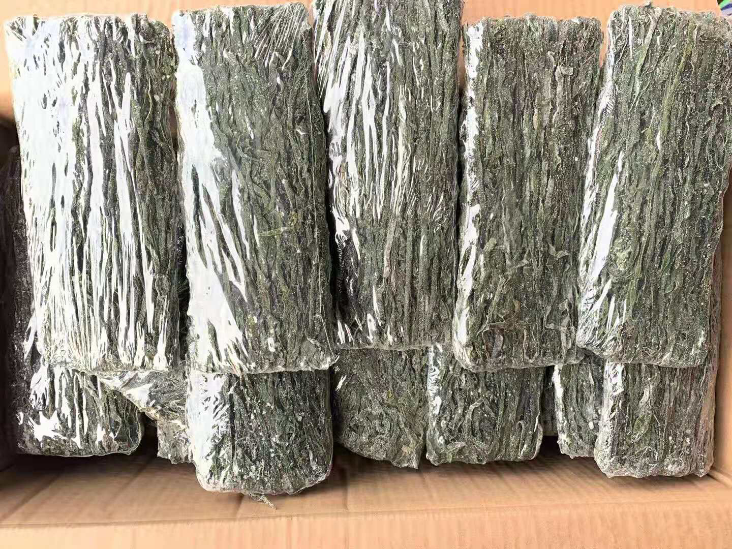 有机干海带丝现代化加工车间,展现标准化生产线 有机海带丝生产车间