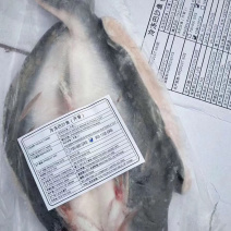 巴沙鱼批发巴沙鱼工厂直销巴沙鱼出售