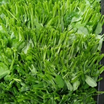 碗豆尖，碗豆苗，上海青，小白菜，叶菜，整车出货，蔬菜
