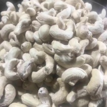 缅甸腰果