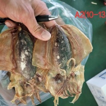 全淡墨鱼干