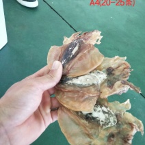全淡墨鱼干