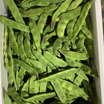 油豆