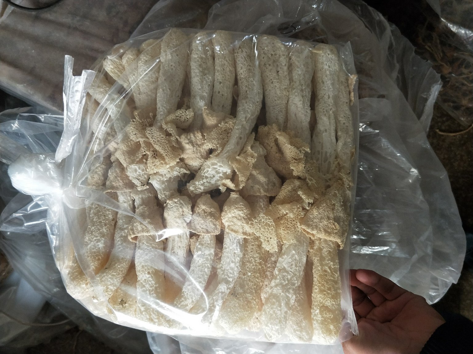 竹荪菌裙对比图