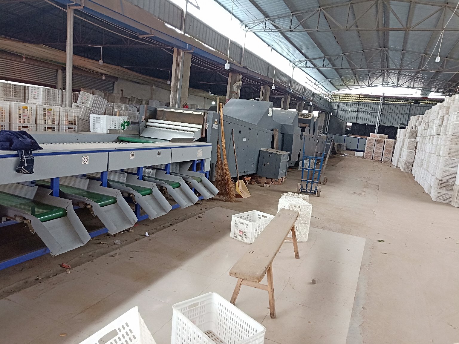 智能化脐橙分选设备