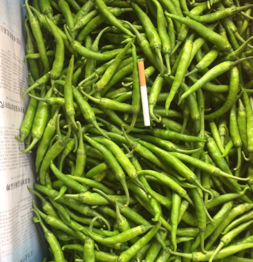 [杭椒批发]小杭椒价格3.00元/斤 - 一亩田