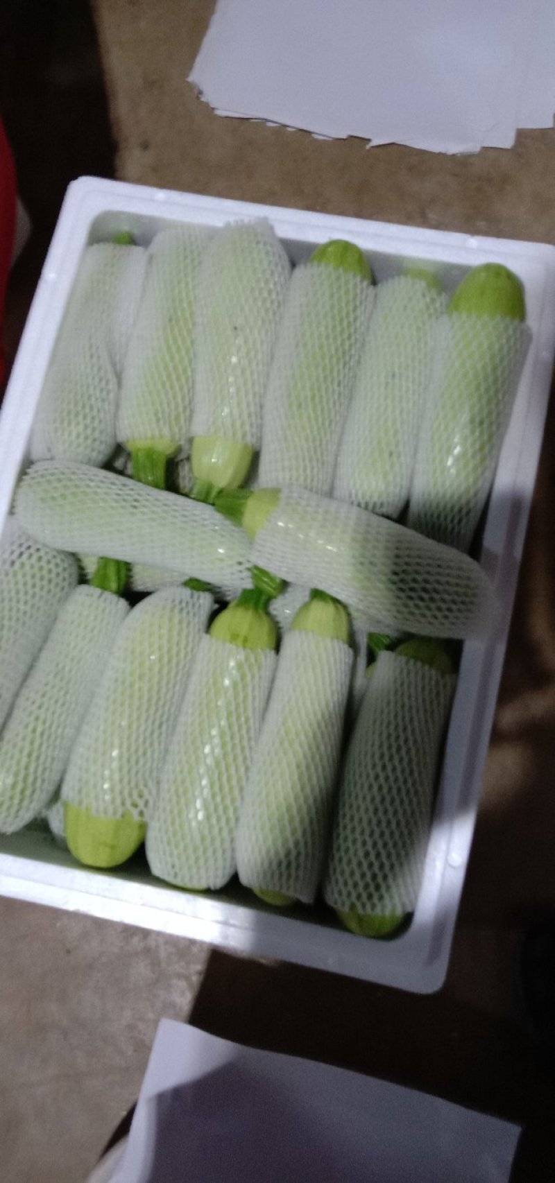 [西葫芦批发]精品价格美丽价格2.00元/公斤 - 一亩田