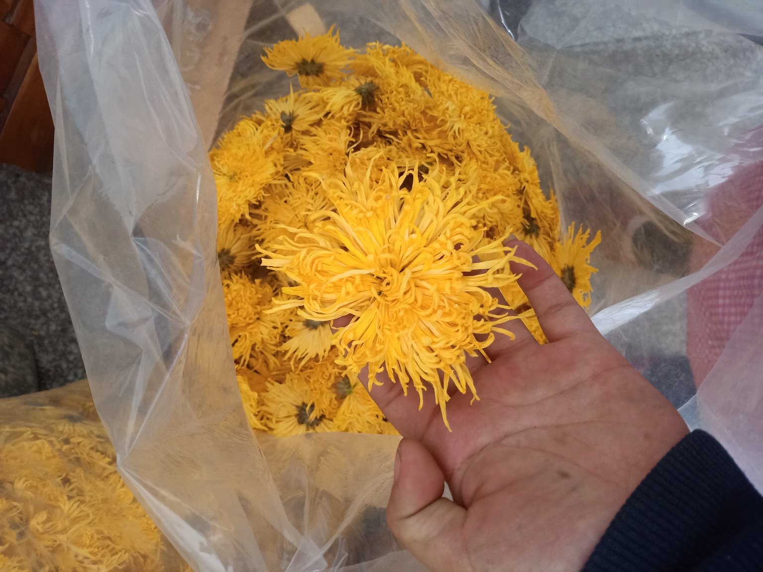 金丝皇菊金银花枸杞茶的原料展示