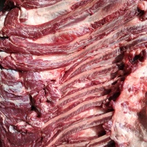 驴肉，肋条，现杀嫩口精修带皮、去皮驴肋条肉