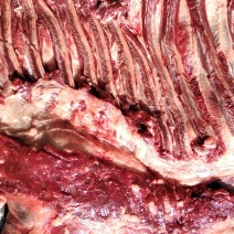 马排，马排骨，现杀带皮、去皮精修去油去骨马肋条肉