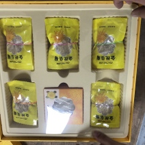 金丝皇菊厂家批发一朵一杯