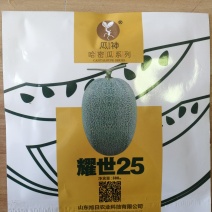 【优质】耀世25厚皮网纹甜瓜种子口感好甜度高口感好抗病好
