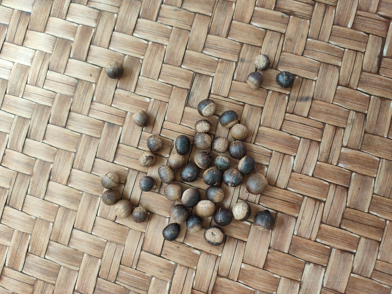 现代化锥栗加工车间内部场景,不锈钢传送带上流动着经过清洗后的锥栗果实,两名技术人员正在监控智能光学分选机的工作状态,屏幕上实时显示大小、色泽、瑕疵识别结果,背景有‘桃源锥栗地理标志授权企业’标识牌 现代化锥栗加工厂内景,工人正在操作自动化分选设备