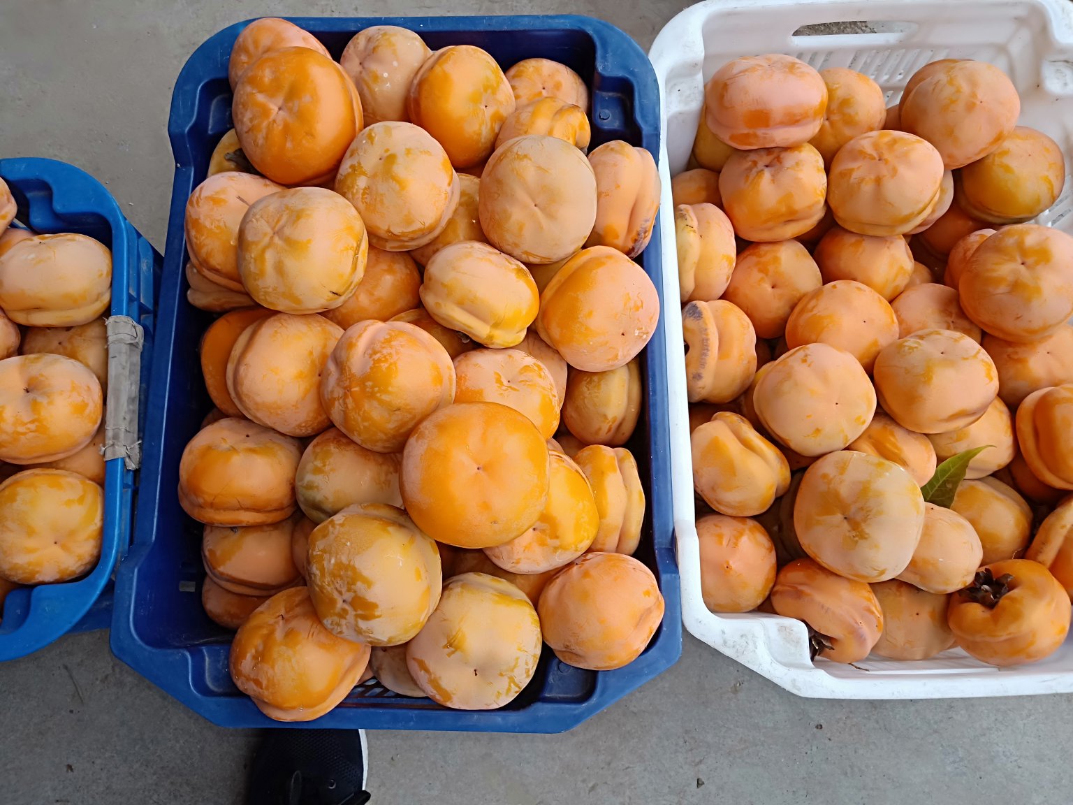 磨盘柿与牛心柿市场销售场景图