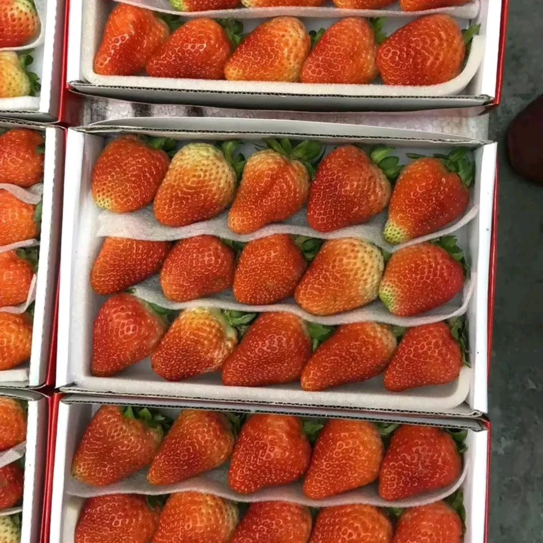 超市货架上的海沃德奇异果礼盒展示