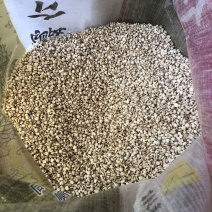 新货优质龙华金沙小薏米薏仁可祛湿