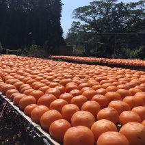 2019年龙岩永定纯天然晾晒手工柿饼