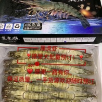 生猛野生越南【黑虎虾】纯正支持验货产地直销