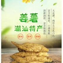 潮汕特产姜薯新鲜现挖场地直销一手货源