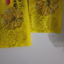 金丝皇菊