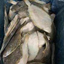冷冻鲽鱼，黄金鲽鱼，比目鱼
