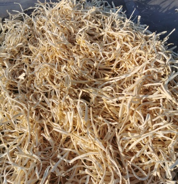 优质桔梗丝无硫桔梗丝内蒙货