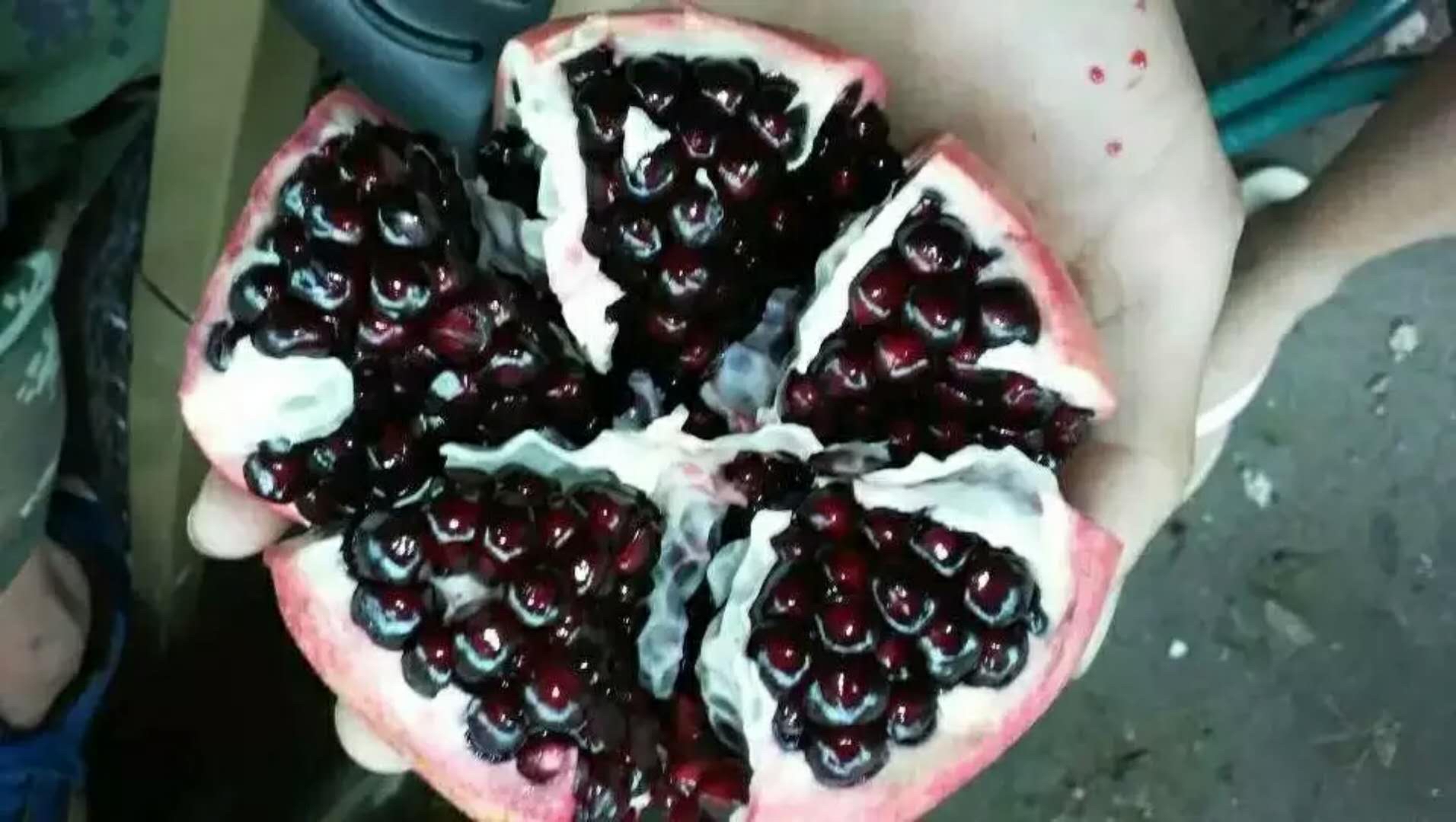 展示石榴汁中的活性成分如何作用于肝脏细胞,提升抗氧化与解毒能力 石榴汁与肝脏保护机制示意图